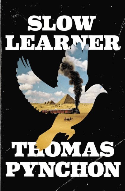Thomas Pynchon - Slow Learner, E-bok