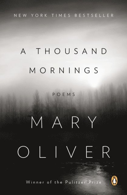 Mary Oliver - Thousand Mornings, E-bok