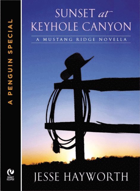 Jesse Hayworth - Sunset At Keyhole Canyon, E-bok