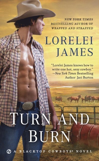 Lorelei James - Turn and Burn, E-bok