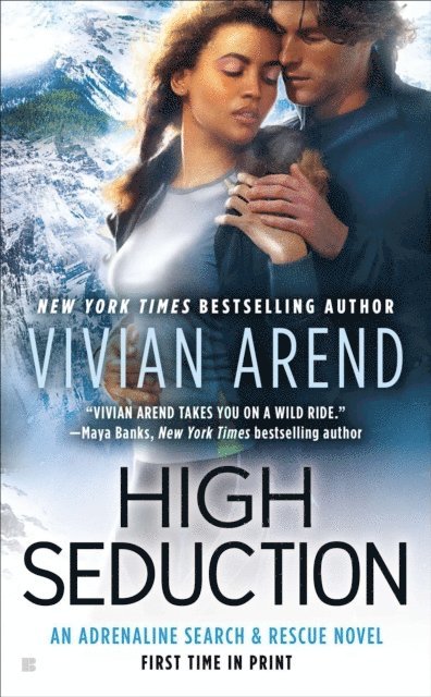 Vivian Arend - High Seduction, E-bok