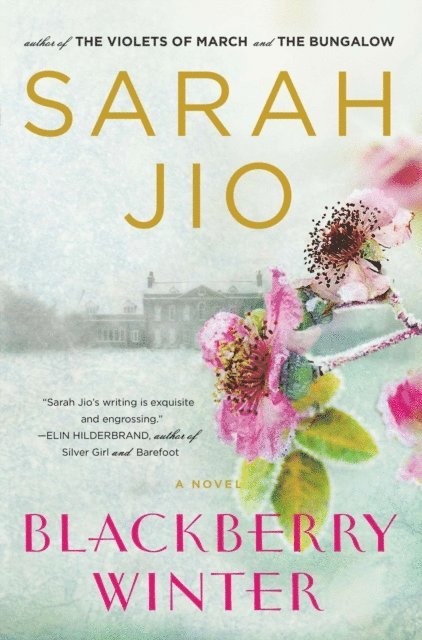 Sarah Jio - Blackberry Winter, E-bok