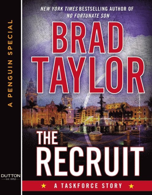 Brad Taylor - Recruit, E-bok