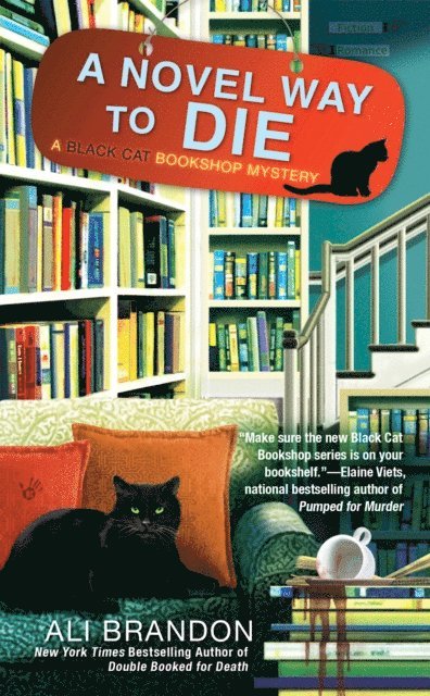 Ali Brandon - Novel Way to Die, E-bok