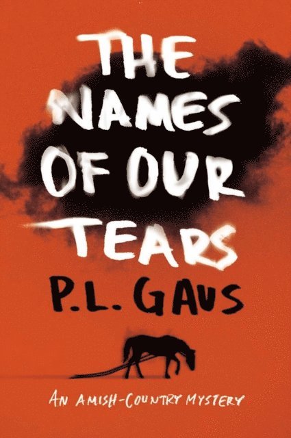 P. L. Gaus - Names of Our Tears, E-bok