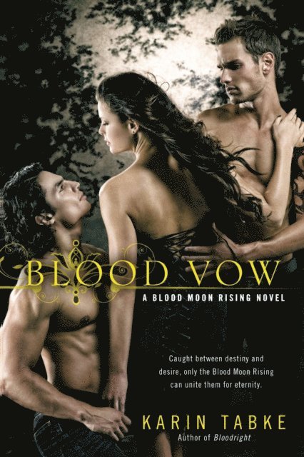 Karin Tabke - Blood Vow, E-bok