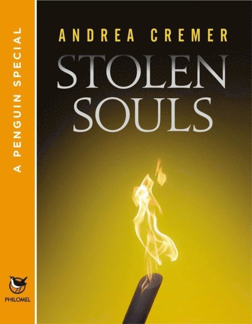 Andrea Cremer - Stolen Souls, E-bok