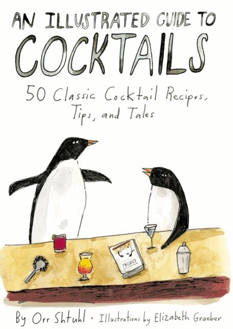 Orr Shtuhl - Illustrated Guide to Cocktails, E-bok