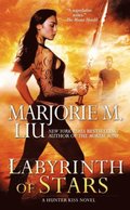 Labyrinth of Stars