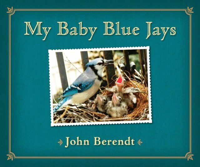 John Berendt - My Baby Blue Jays, E-bok