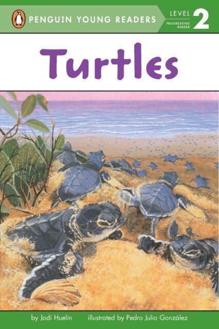 Jodi Huelin - Turtles, E-bok
