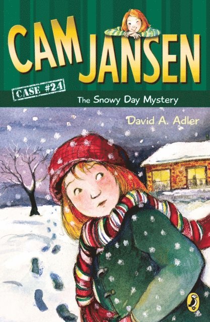David A. Adler - Cam Jansen: The Snowy Day Mystery #24, E-bok