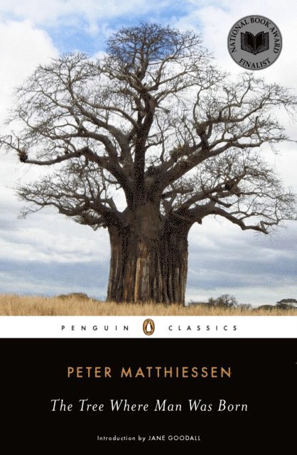 Peter Matthiessen - Tree Where Man Was Born, E-bok