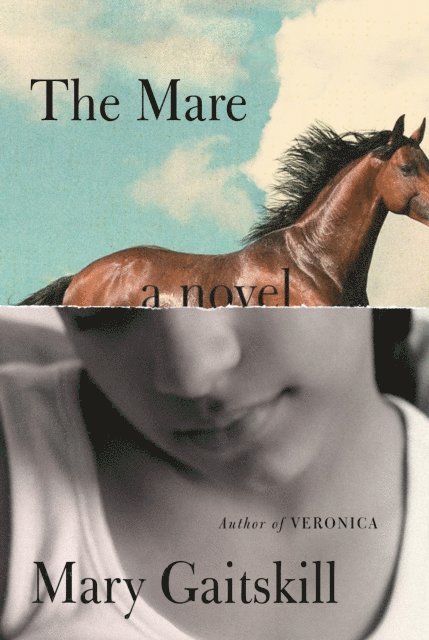 Mary Gaitskill - Mare, E-bok