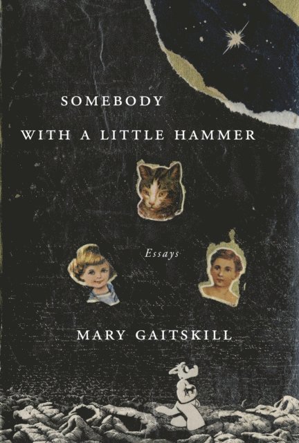 Mary Gaitskill - Somebody with a Little Hammer, E-bok