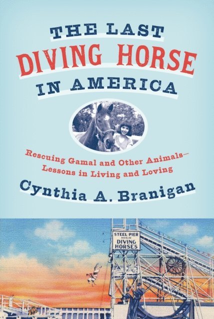 Cynthia A. Branigan - Last Diving Horse in America, E-bok. Tillgänglighet: Lägg i varukorg