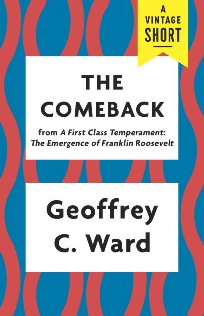 Geoffrey C. Ward - Comeback, E-bok