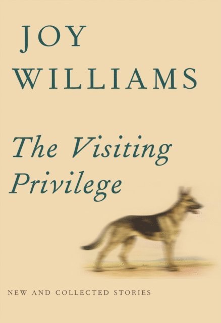 Joy Williams - Visiting Privilege, E-bok