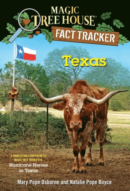 Natalie Pope Boyce, Mary Pope Osborne - Texas, E-bok