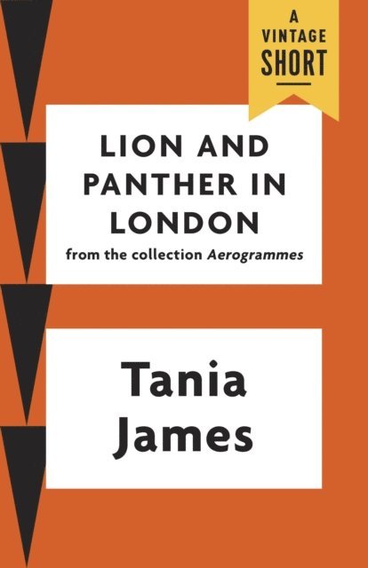 Tania James - Lion and Panther in London, E-bok