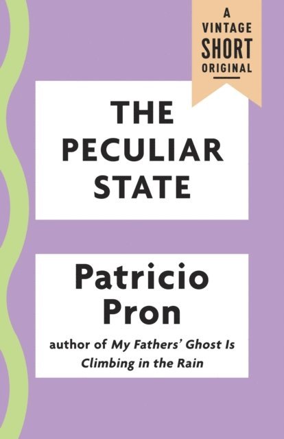 Patricio Pron - Peculiar State, E-bok