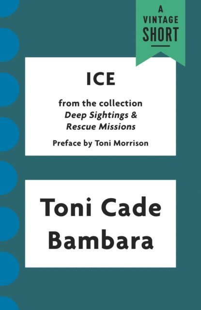 Toni Cade Bambara - Ice, E-bok