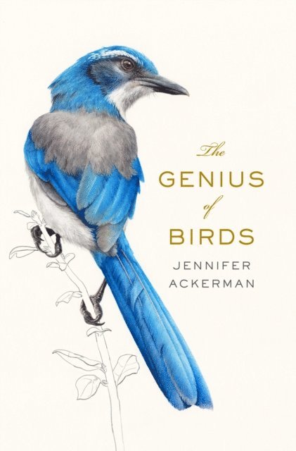 Jennifer Ackerman - Genius of Birds, E-bok