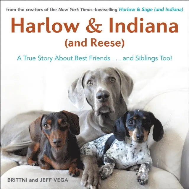 Brittni Vega - Harlow & Indiana (and Reese), E-bok. Tillgänglighet: Lägg i varukorg