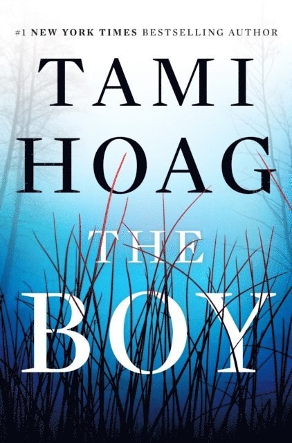 Tami Hoag - Boy, E-bok