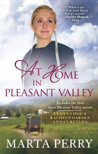 Marta Perry - At Home in Pleasant Valley, E-bok