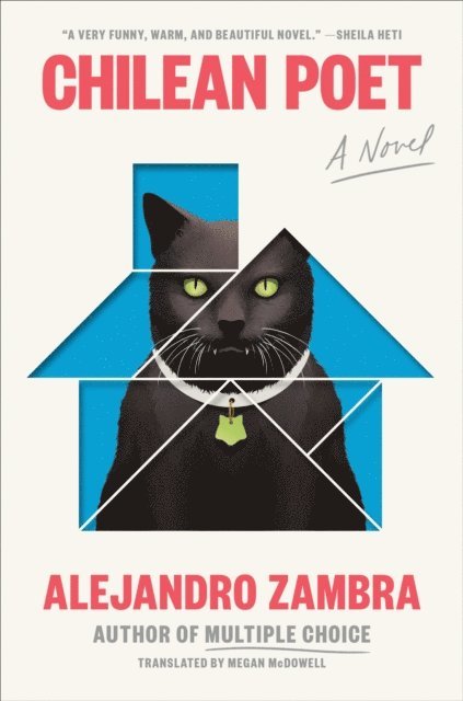 Alejandro Zambra - Chilean Poet, E-bok