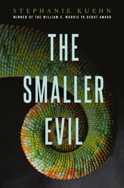 Stephanie Kuehn - Smaller Evil, E-bok