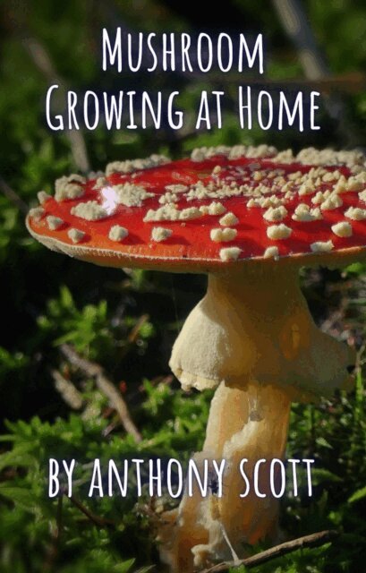 Anthony Scott - Mushroom Growing at Home, E-bok