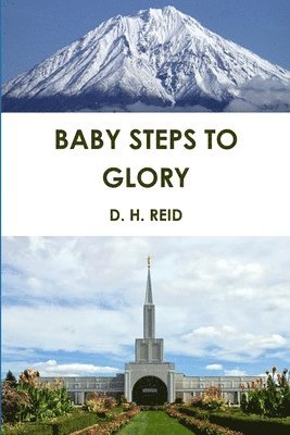 D. H. REID - Baby Steps to Glory, Häftad