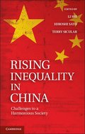Rising Inequality in China