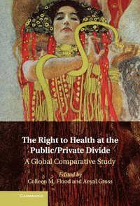 The Right to Health at the Public/Private Divide