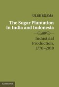 The Sugar Plantation in India and Indonesia