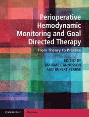 Perioperative Hemodynamic Monitoring and Goal Directed Therapy av Maxime Cannesson, Rupert Pearse