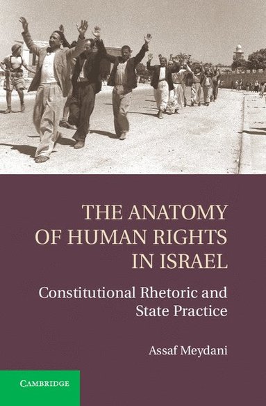 The Anatomy of Human Rights in Israel av Assaf Meydani