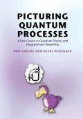 Picturing Quantum Processes