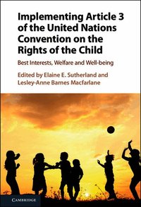 Implementing Article 3 of the United Nations Convention on the Rights of the Child