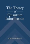 The Theory of Quantum Information