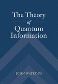 Theory of Quantum Information