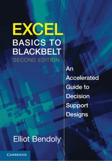 Elliot Bendoly - Excel Basics to Blackbelt, E-bok
