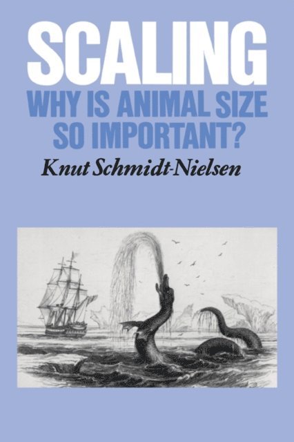 Knut Schmidt-Nielsen - Scaling, E-bok