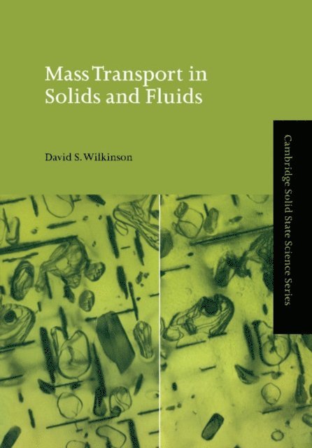 David S. Wilkinson - Mass Transport in Solids and Fluids, E-bok