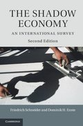 Shadow Economy