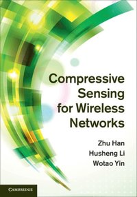 Compressive Sensing for Wireless Networks