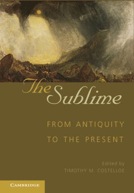 Timothy M. Costelloe - Sublime, E-bok