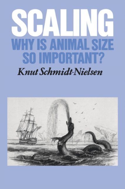 Knut Schmidt-Nielsen - Scaling, E-bok